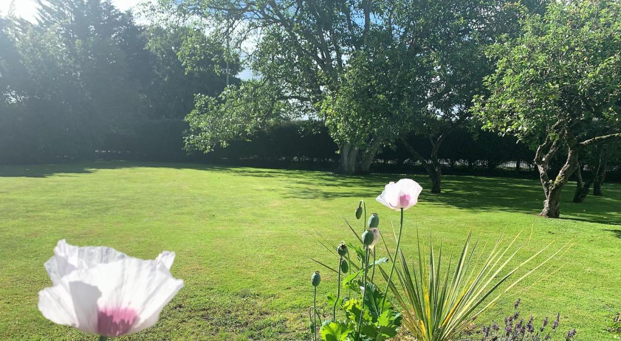 Hope Orchard Bed and Breakfast Cheltenham Buitenkant foto