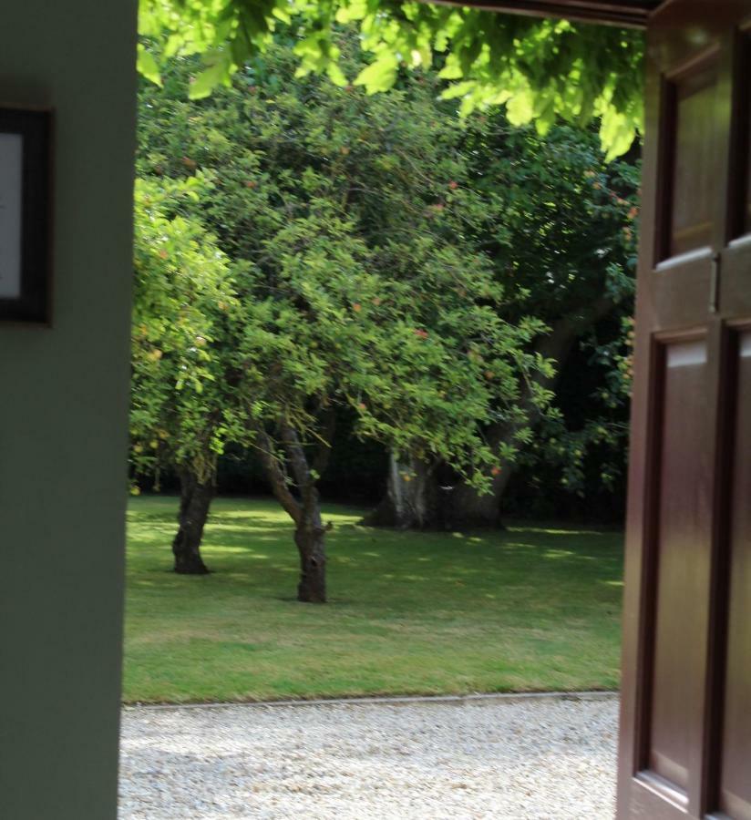 Hope Orchard Bed and Breakfast Cheltenham Buitenkant foto